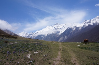 The idyllic view from Kyanjin Gompa.